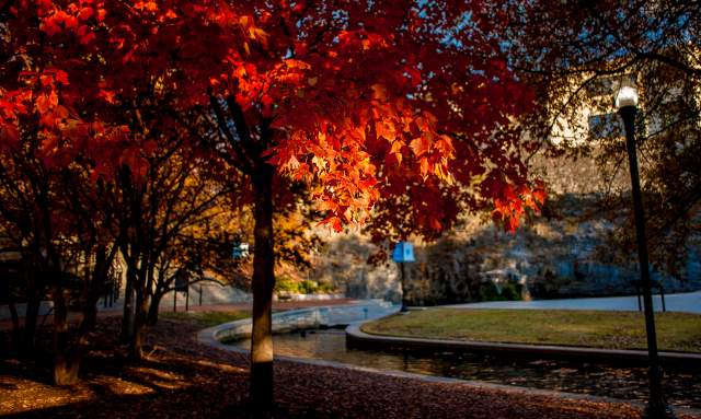 Where to Find the Best Fall Colors in Huntsville