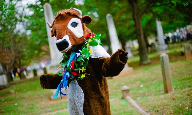 The Legend of Lily Flag: Huntsville's Famous Cow