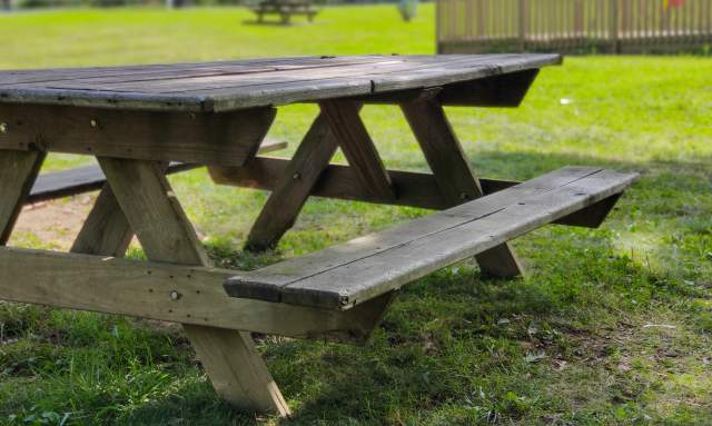 Outdoor Spots for Your Family Picnic