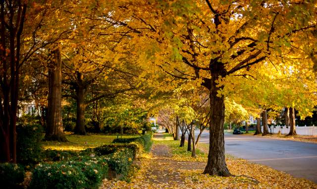 Enjoy the Top Things to Do in the Fall in Huntsville, Alabama