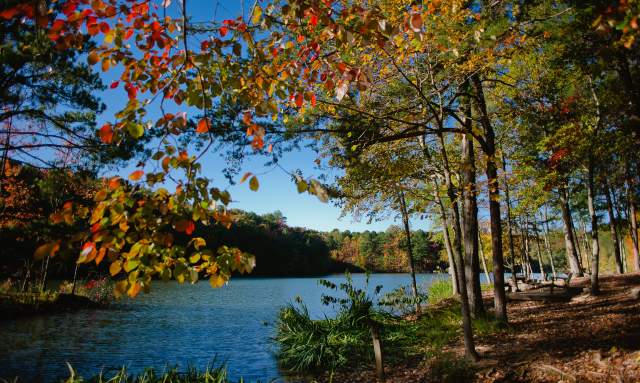 The Ultimate Guide to Huntsville’s Best Fall Hikes & Views