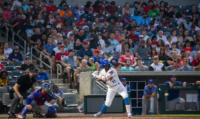 Meeting a Trash Panda in the Wild