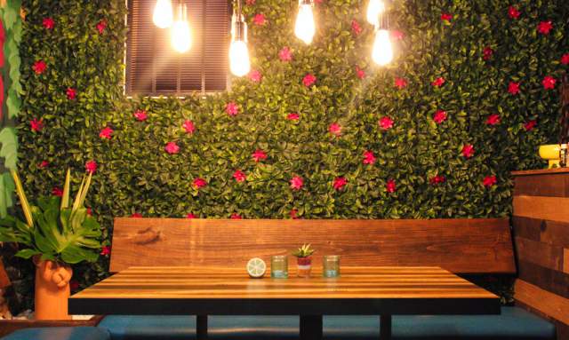 Vegan Friendly Romantic Date Night Spots in Huntsville