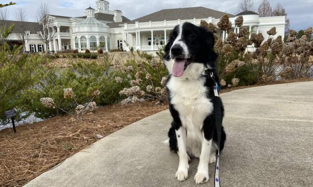 Huntsville Botanical Garden Dog Days