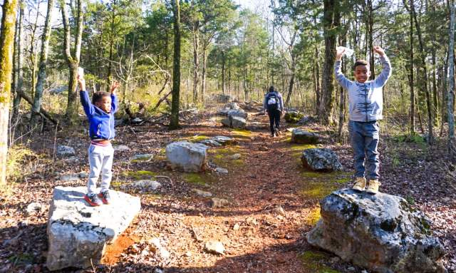 Best Hikes for Families in Huntsville, Alabama