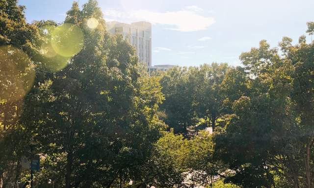 Enjoy Walking these Urban Trails in Huntsville