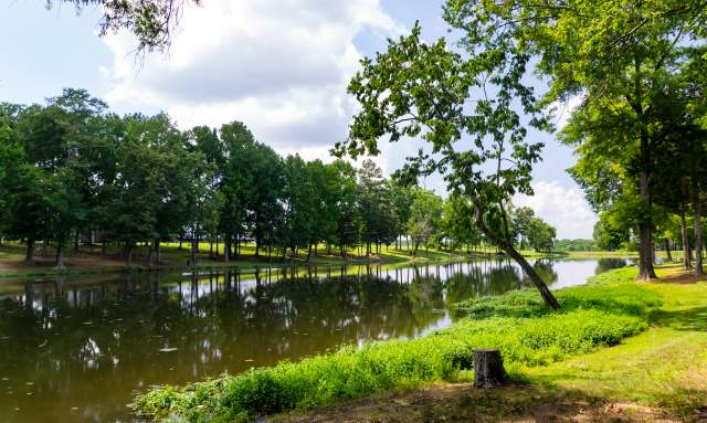 Exploring Huntsville's Sharon Johnston Park