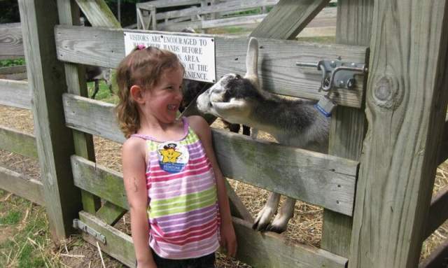 Traveling with young kids