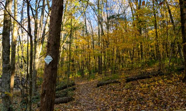 Hiking the Huntsville Wildflower Trail