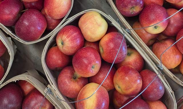 Huntsville Fall Foodie Trail