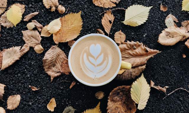 Cozy Eats and Warm Drinks: The Best Huntsville Restaurants for Comfort Food