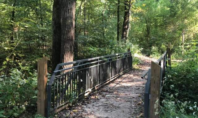 Wheelchair-Friendly Hikes in Huntsville: Chapman Mountain