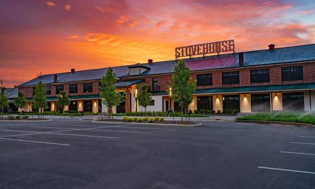 Stovefest: Celebrating 1,000 Nights of Live Tunes and Endless Fun!