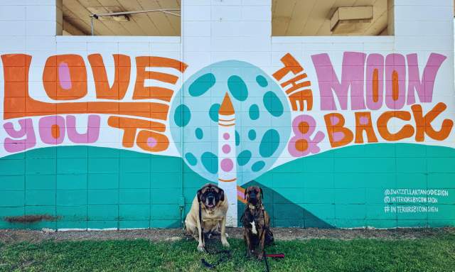 Discover South Huntsville