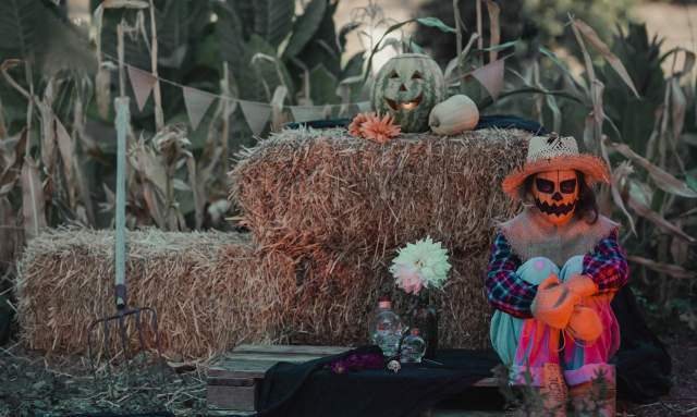 Halloween Scarecrow Evergreen