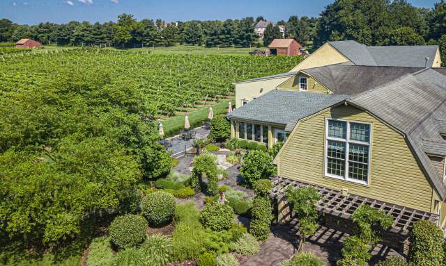 Overhead view of winery with grape vines and tasting room building