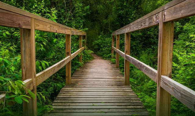 Bridge Trail Codorus State Park