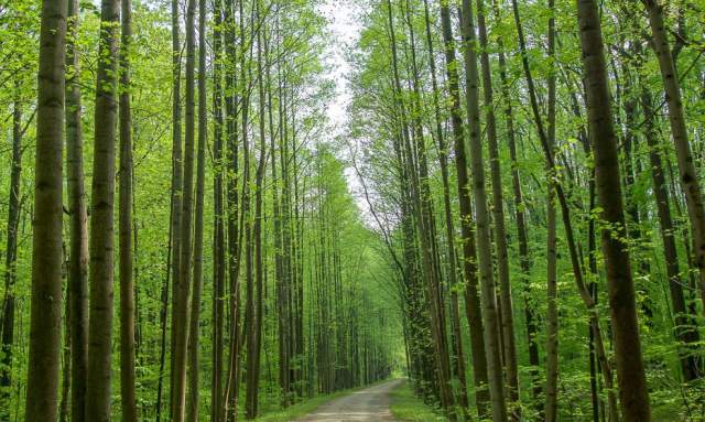 Top Spring Activities in PA State Parks