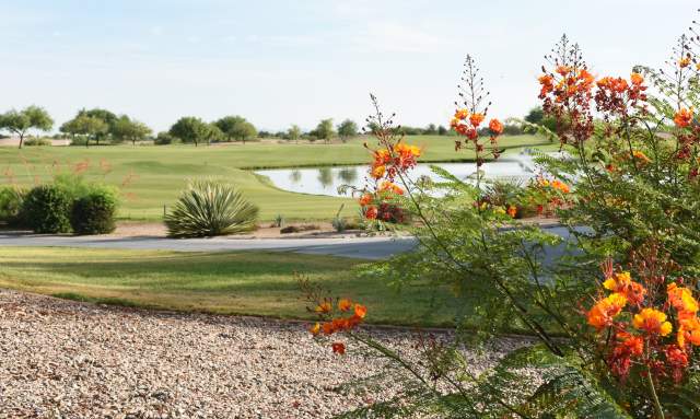 Bear Creek Golf Complex