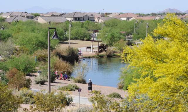 Veterans Oasis Park and Chandler Nature Center