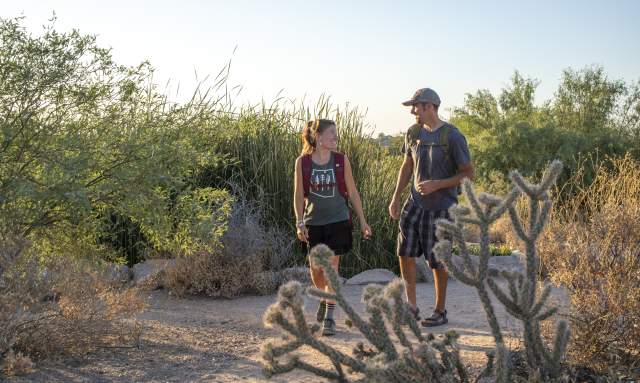 Veterans Oasis Park and Chandler Nature Center