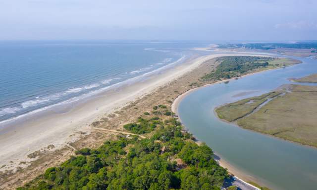 Junior Naturalist: Barrier Island Ecology