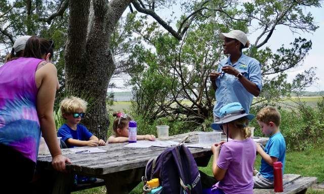 Wee Wild Ones: Nature Eye Spy