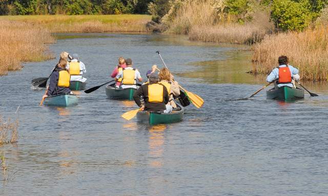 Tea Farm Creek Canoe Trip
