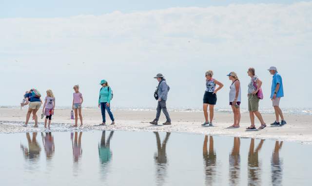 Seashore Exploration