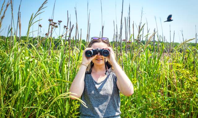 Early Morning Bird Walk at Caw Caw