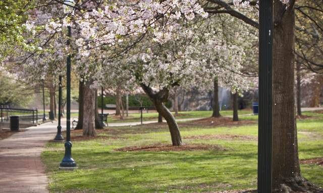 Big Spring International Park