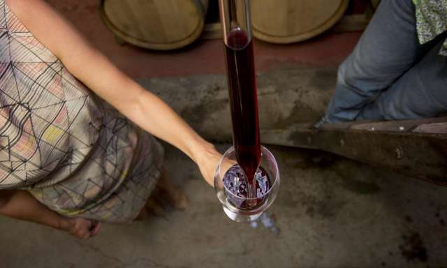 Pouring Wine from Barrel