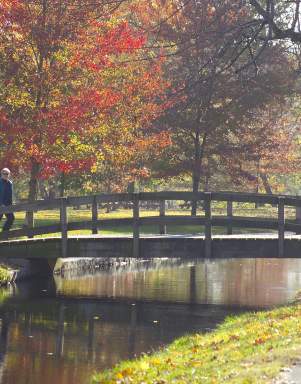 Brandywine Park