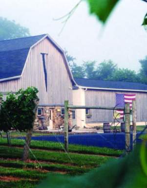 Va La Vineyards