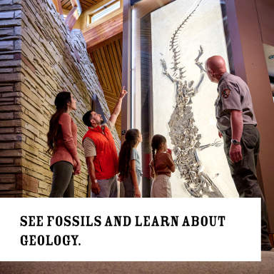 see fossils and learn about geology.