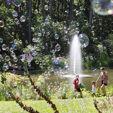 Pondamania Family Art & Play Day