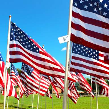 18th Annual Field of Honor