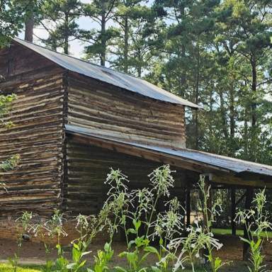 Heritage Garden Spring Family Day