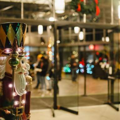 Holiday Lights in the Garden 2025