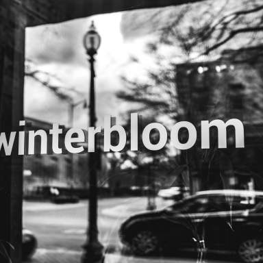 Winterbloom Tea