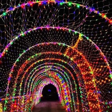 Festival of Lights and Tiny's Wonderland