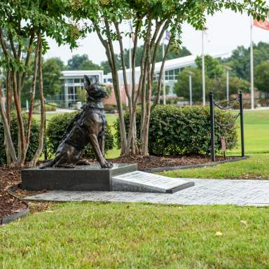 U.S. Army Airborne & Special Operations Museum