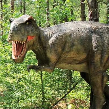 Sweet Valley Ranch's Dinosaur World