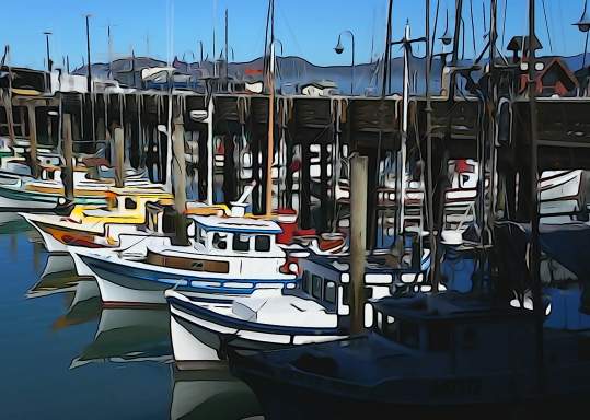 Fleet of Small Fishing Boats Around Pier 39, Fisherman's Wharf