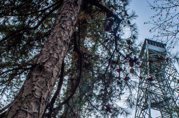 Top Places to Explore in Bloomington This Winter