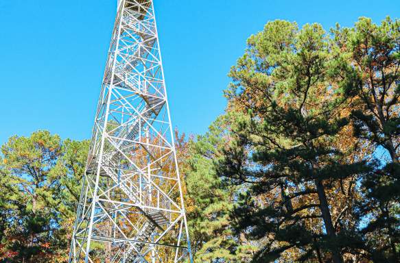 A shot of Hickory Ridge Fire Tower from the ground
