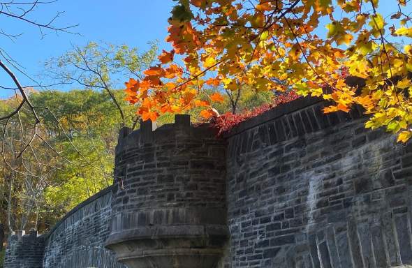 Fernleigh Bridge in Fall