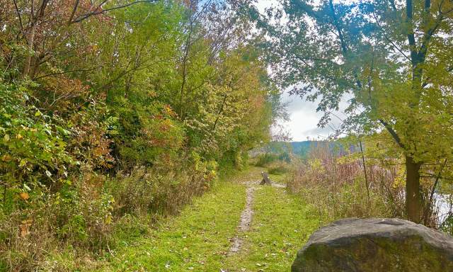 Celebrate National Take a Hike Day: Explore Woodstock’s Scenic Fall Trails