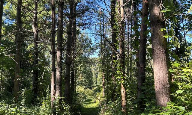 Hennen Conservation Area