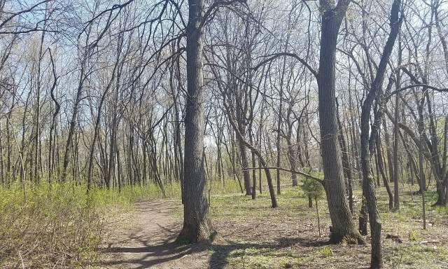 William C. Donato Conservation Area Walk